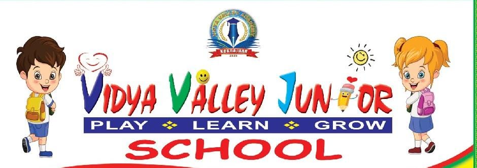 vidyavalleyjuniorschool.in